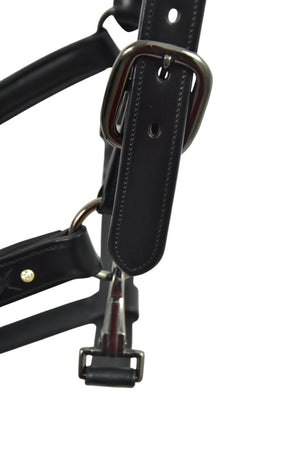 Royal Equestrian Pro Diamond Jog Leather Halter