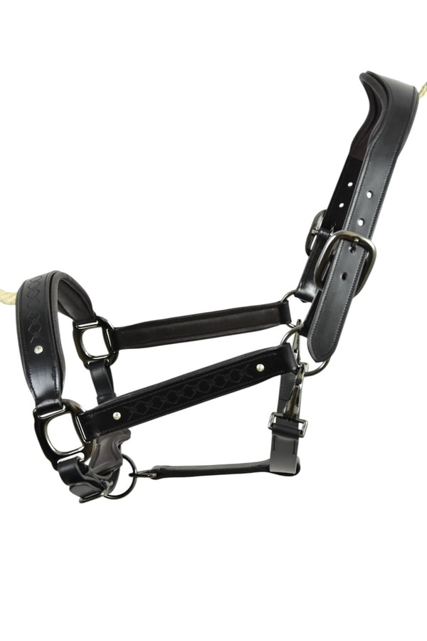 Royal Equestrian Pro Diamond Jog Leather Halter