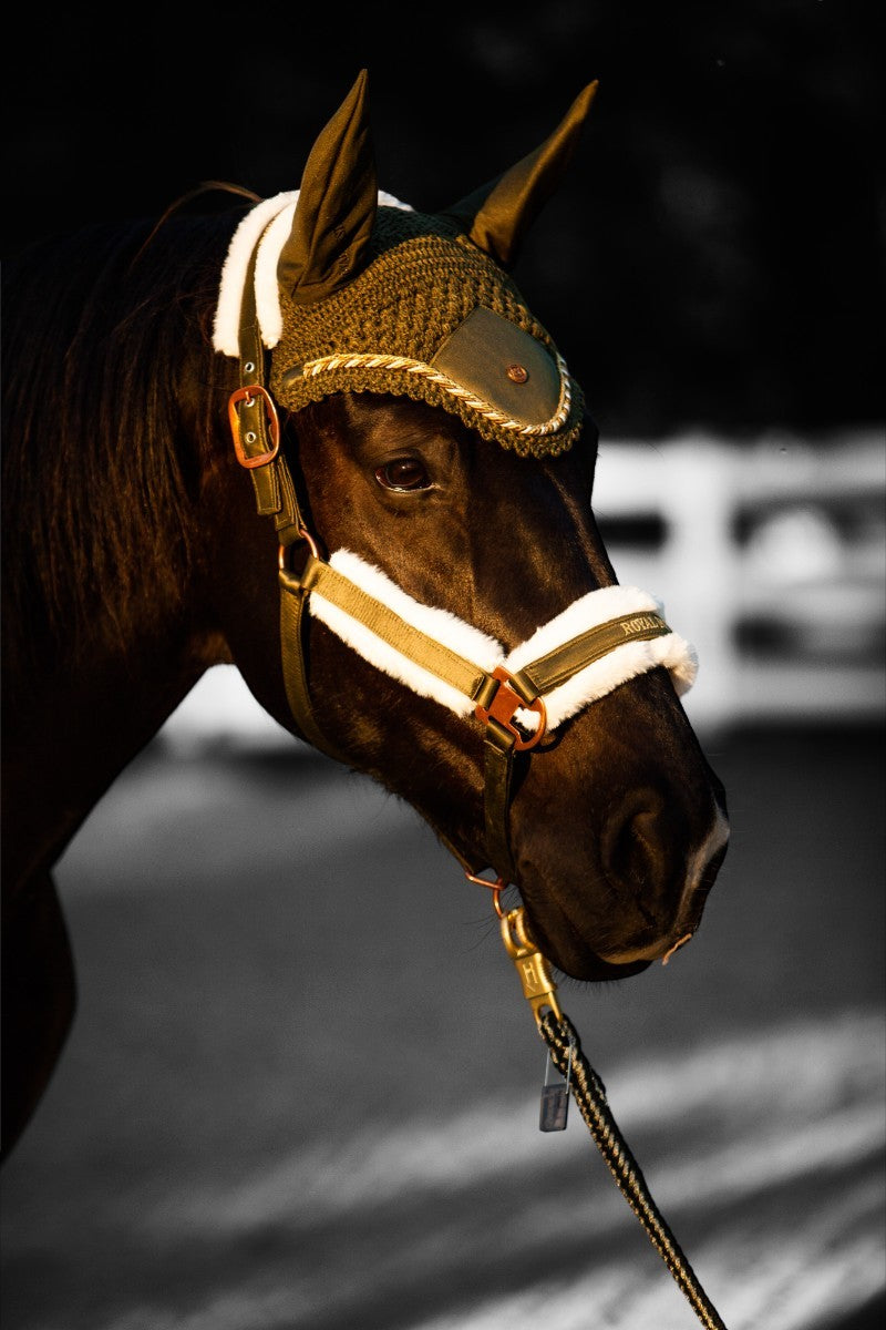 Royal Equestrian Premium Ear Bonnet Olive Blue Hope Full