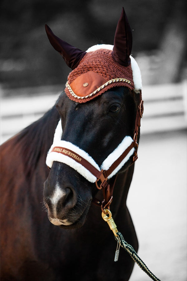 Royal Equestrian Premium Ear Bonnet Chocolate Full