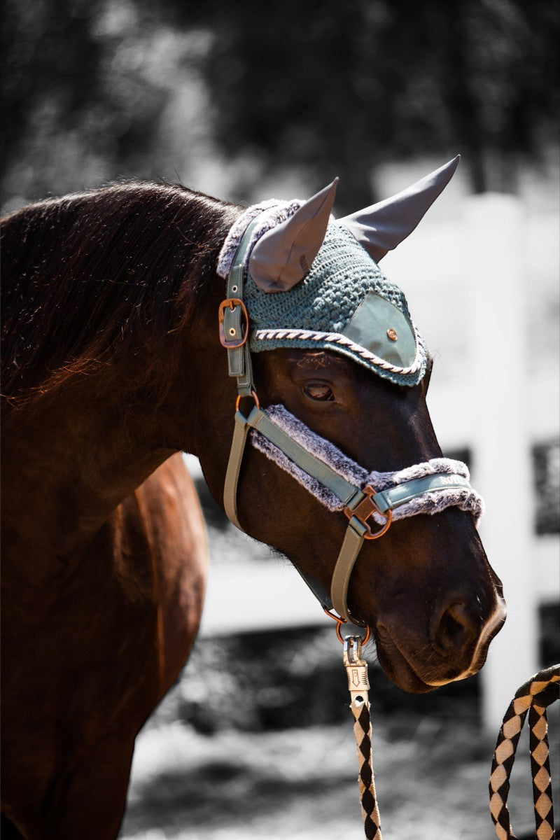 Royal Equestrian Premium Ear Bonnet Marine Full