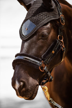 Royal Equestrian Premium Ear Bonnet Croco Black Full