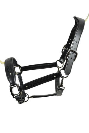 Royal Equestrian Pro Diamond Jog Leather Halter