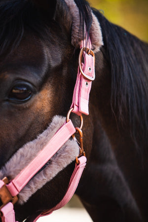 Royal Equestrian Fur Halter Pink Full