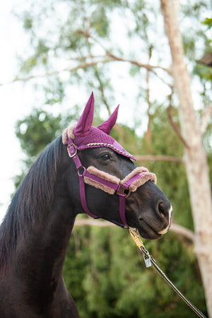 Royal Equestrian Premium Ear Bonnet Purple Navy Full