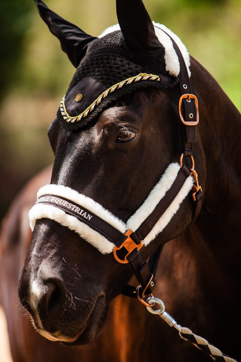 Royal Equestrian Premium Ear Bonnet Black Gold Full