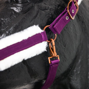 Royal Equestrian Fur Halter Purple White Full