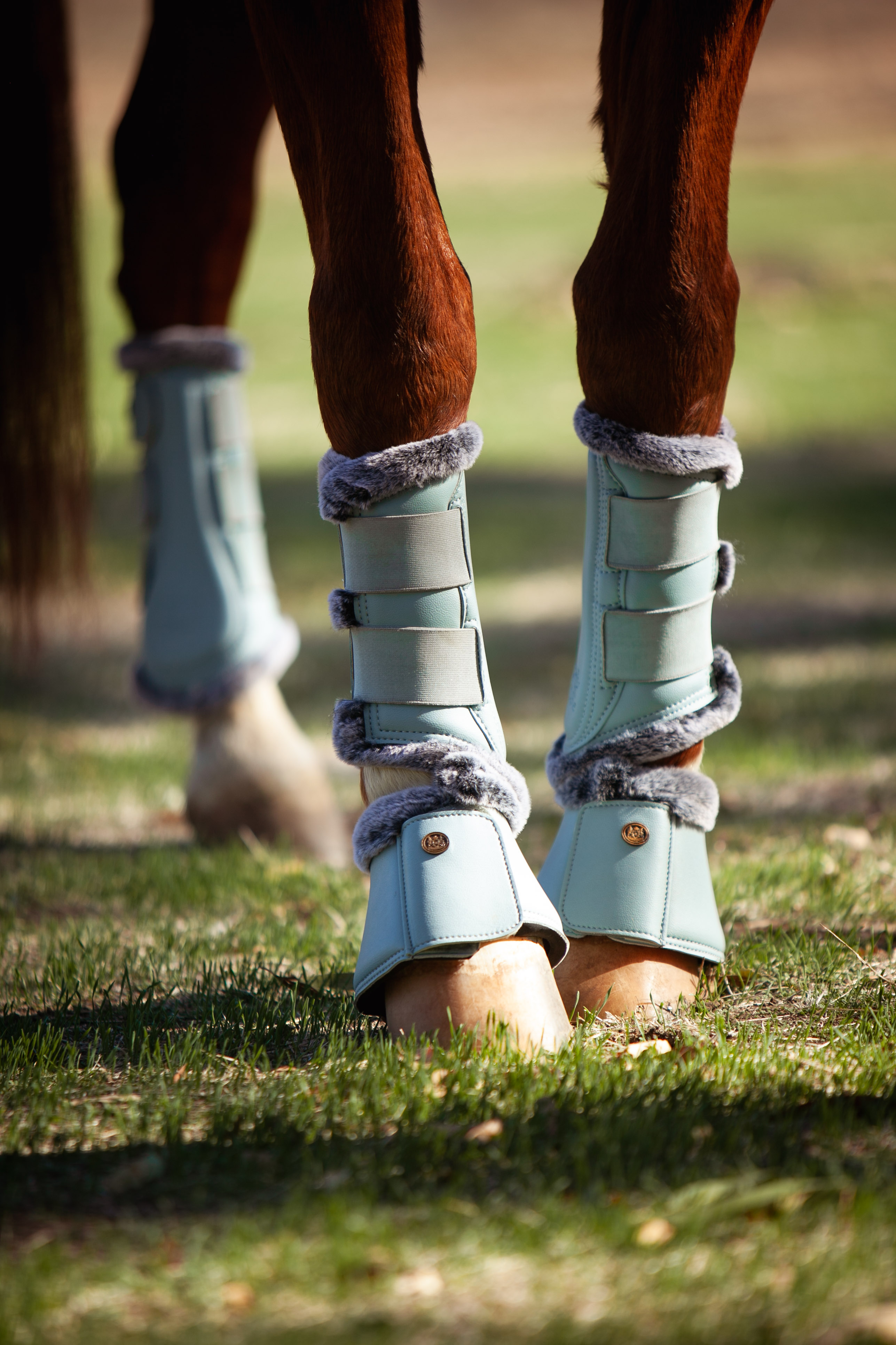 HORSE BOOTS & POLOS