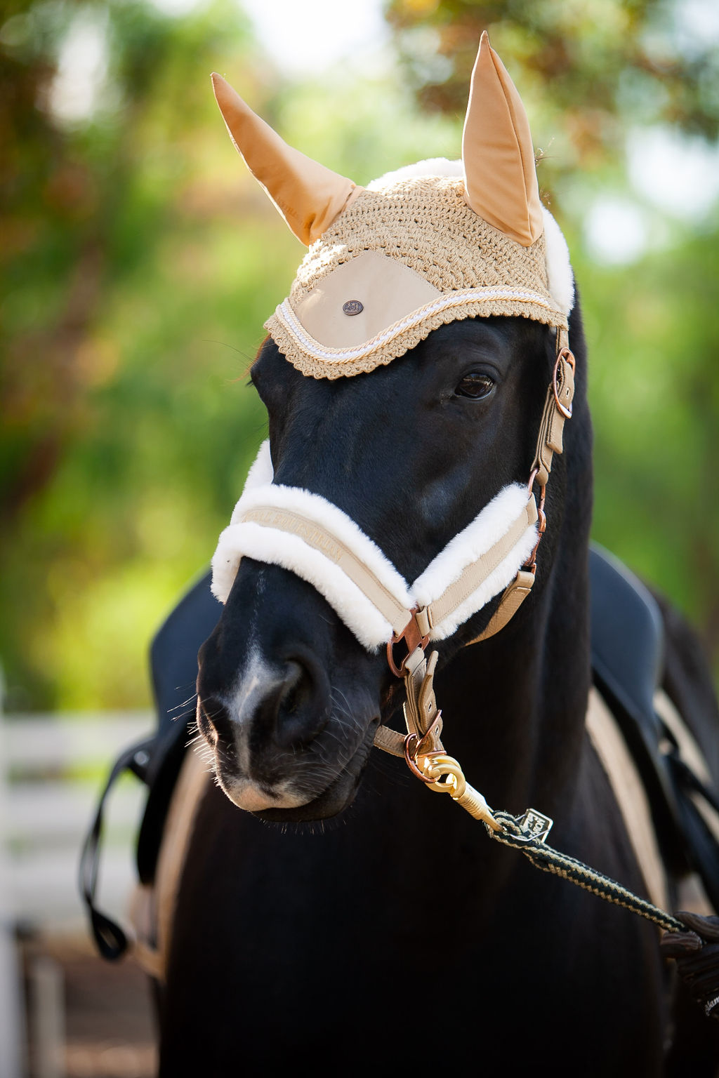 Rhinestones Bonnet