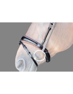 PS of Sweden Noseband GP, black