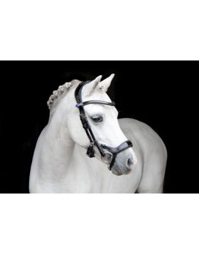 PS of Sweden Bridle, Pioneer