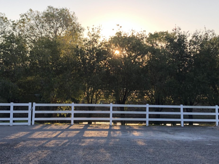 A Day In The Life With: LaGoy-Weltz Dressage Working Student Caroline Cochran