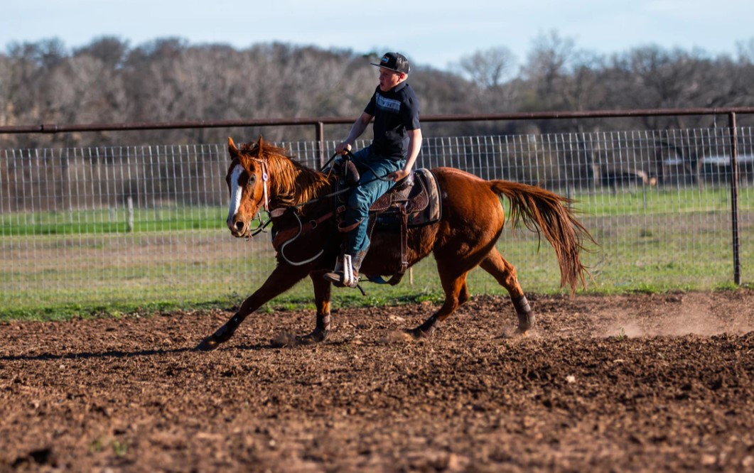 Why Do Horses Buck?