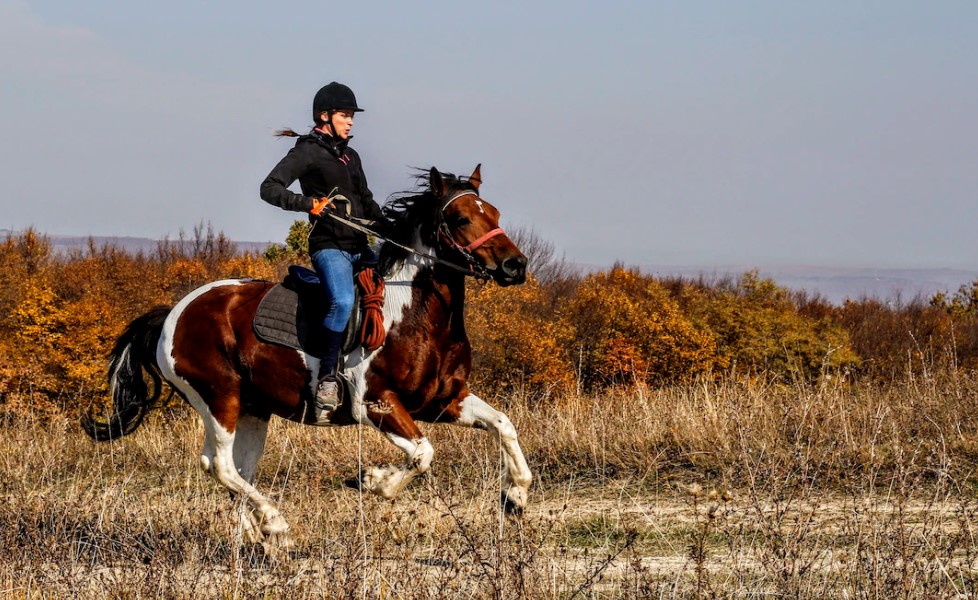 Advantages of Wearing Long Pants Horseback Riding