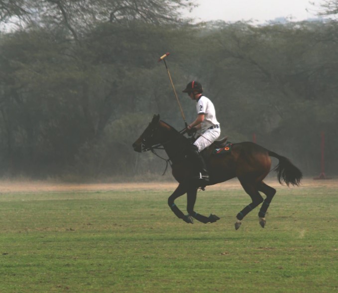 Prince Harry "Gallops Into His Future" During a Polo Match in California: Royal Expert