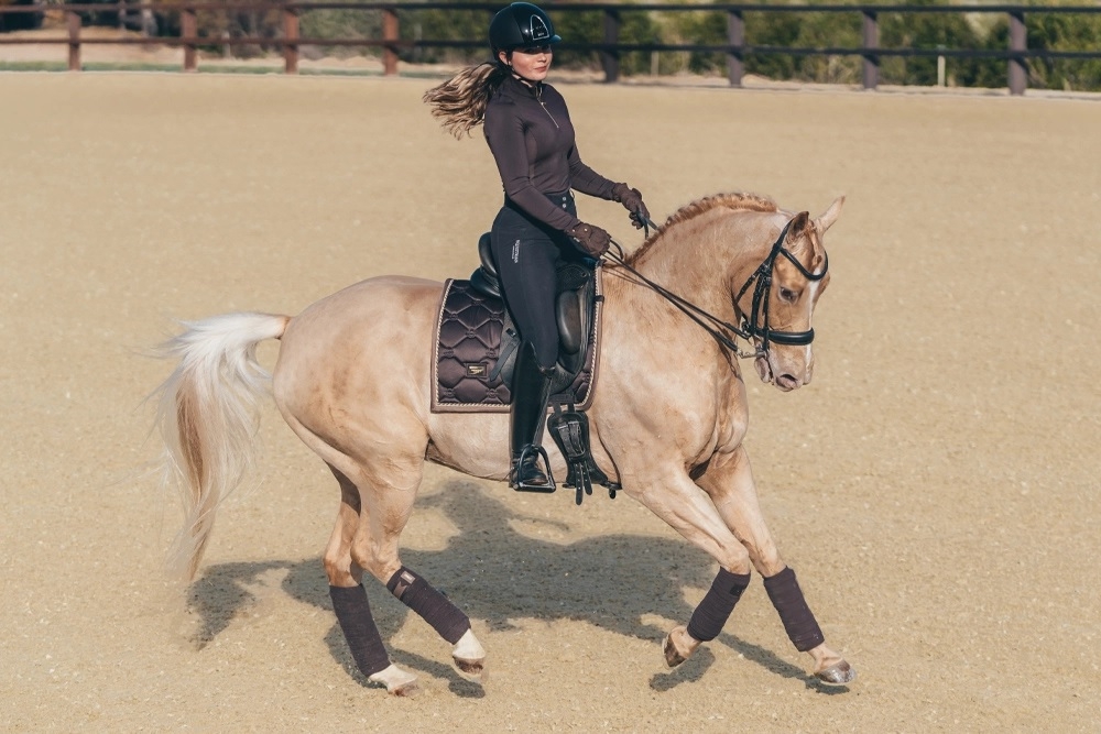 Dressage - Saddle Pad - SALE