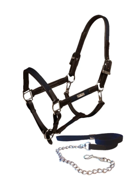 Halters - Halters & Leads - Horse Tack & Blankets - Riding Apparel & Tack