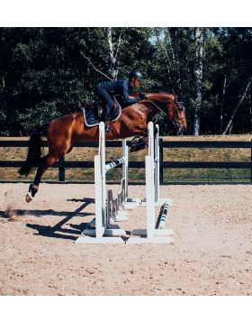Royal Horse - Calendrier équestre - Montre Klaoma – Equestrian shop