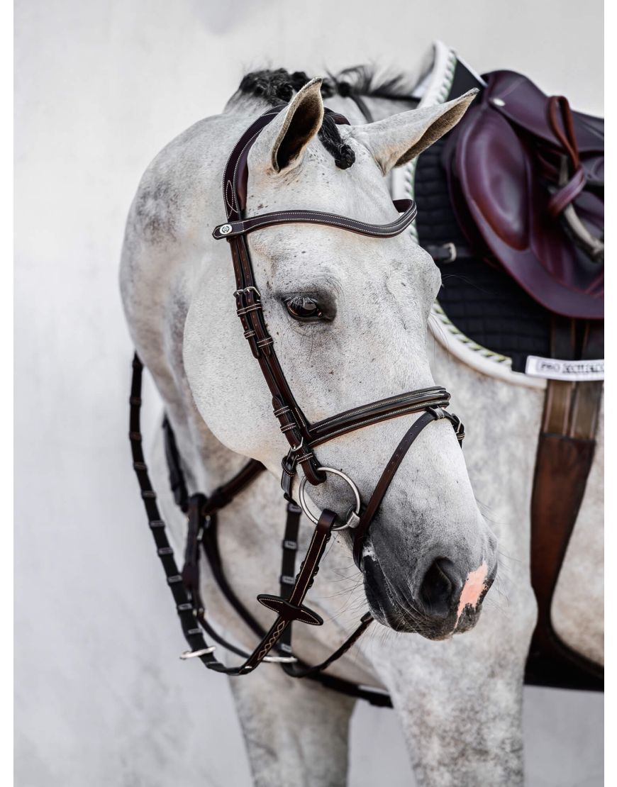 Ps of on sale sweden bridle