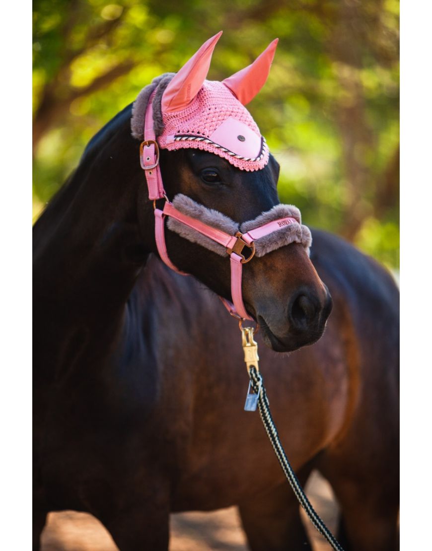 MY FULL MATCHY MATCHY SETS! - PONY SADDLE PAD COLLECTION *Ear Bonnets* Hat  Silks* 